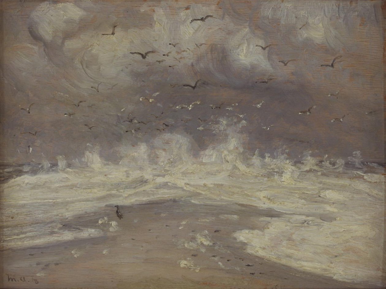 Branding aan de noordkust van Jutland door Michael Ancher