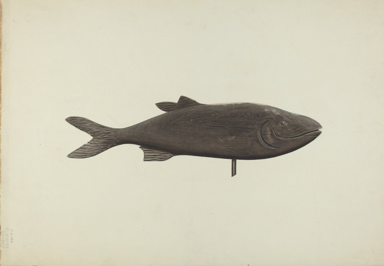 Vis Weervaan, ca. 1939 door Michael Riccitelli