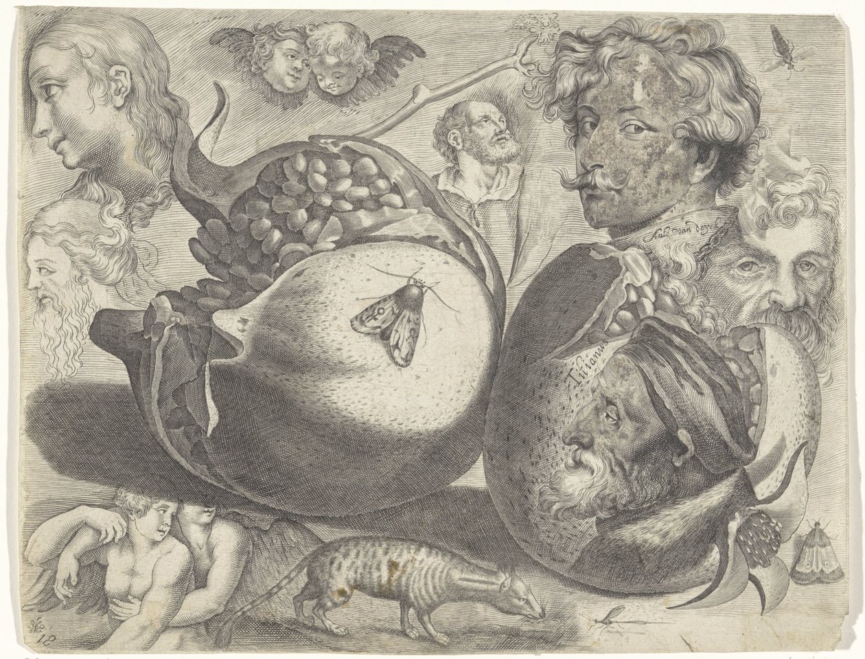 Studieblad met tekenvoorbeelden: koppen, figuren, vruchten, dieren door Michael Snijders