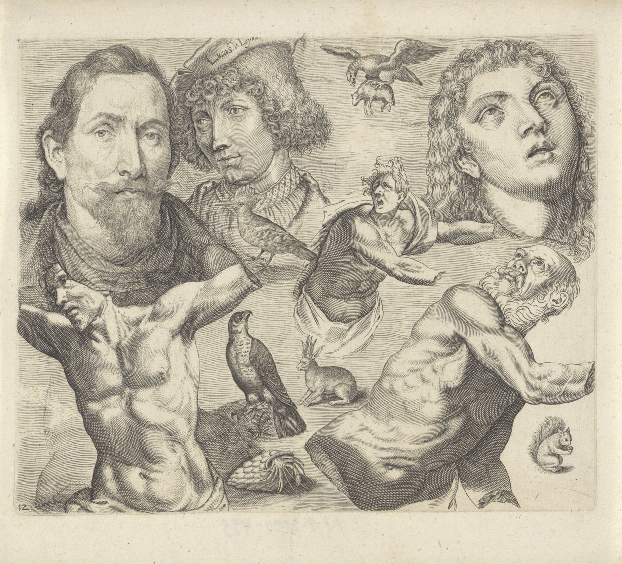 Studieblad met tekenvoorbeelden: koppen, torso en dieren door Michael Snijders