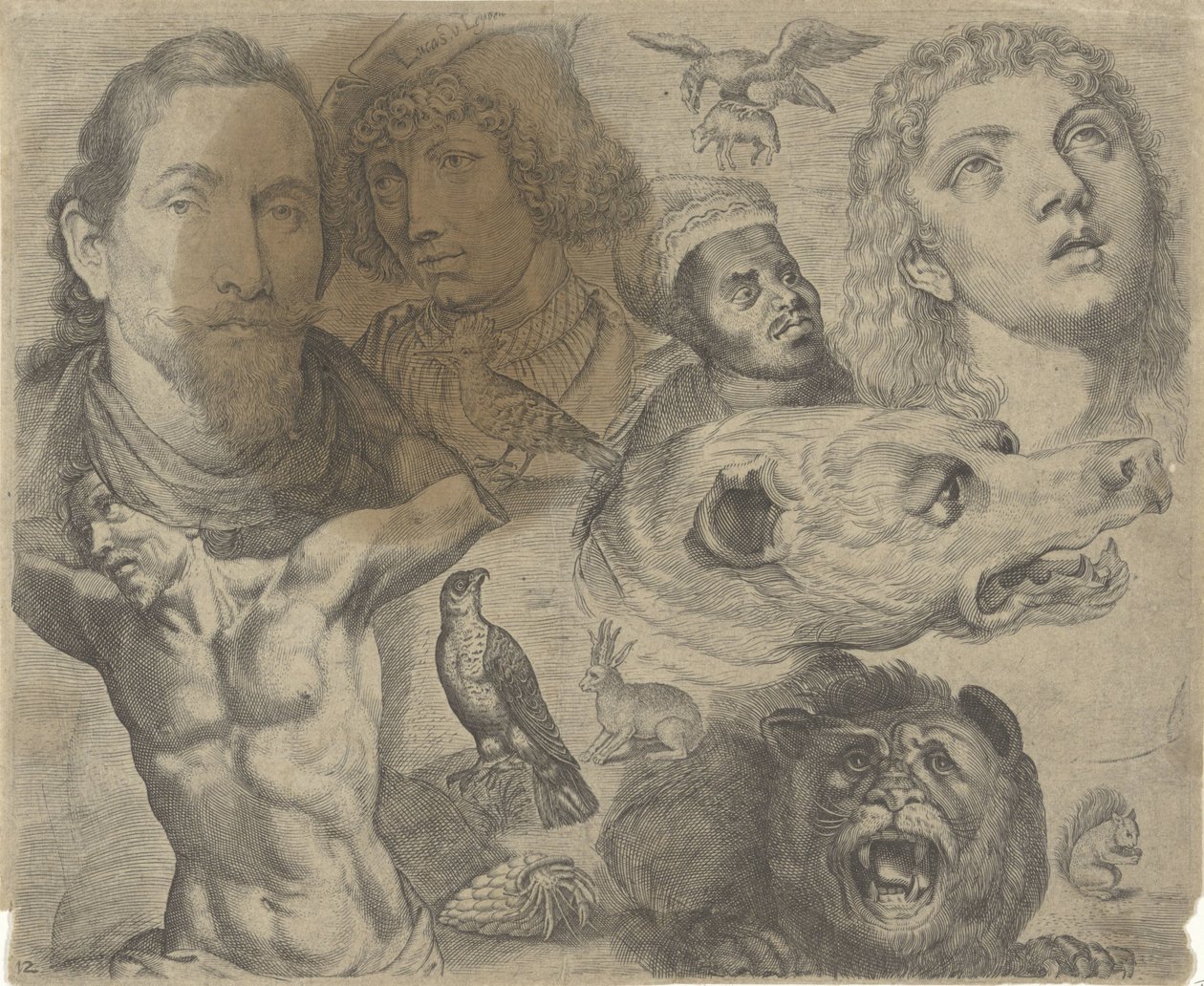 Studieblad met tekenvoorbeelden: koppen, torso en dieren door Michael Snijders