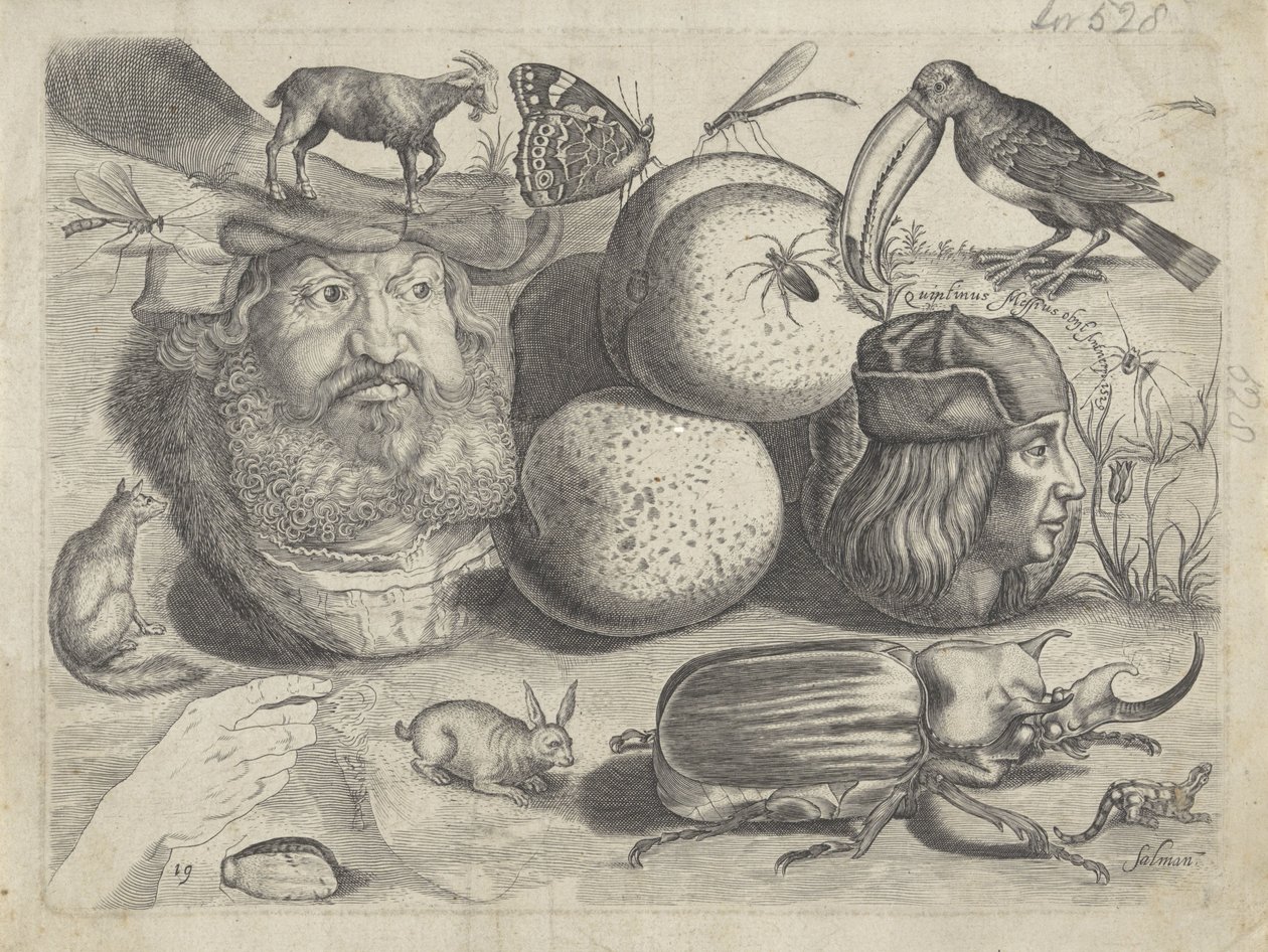 Studieblad met tekenvoorbeelden: portretten, dieren, insecten door Michael Snijders