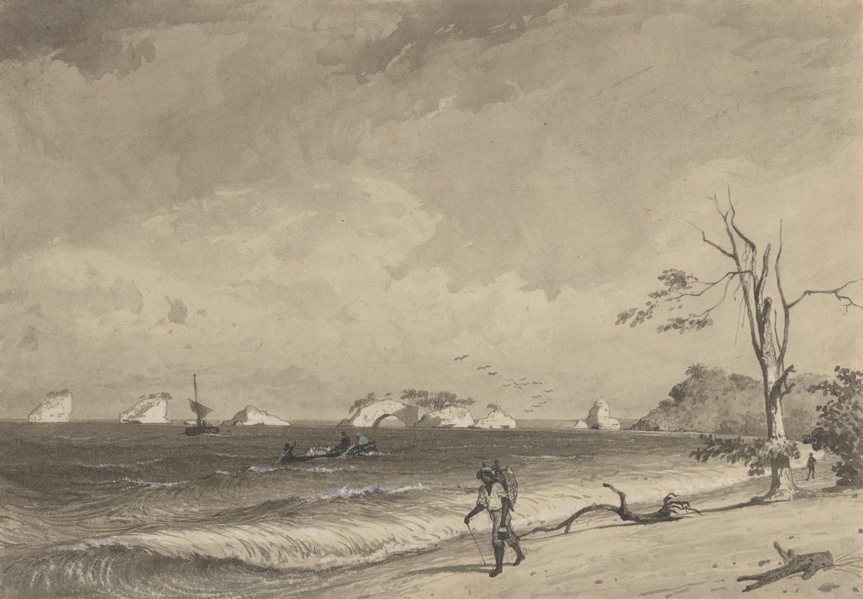 Los Gallos, Icacos Bay door Michel Jean Cazabon