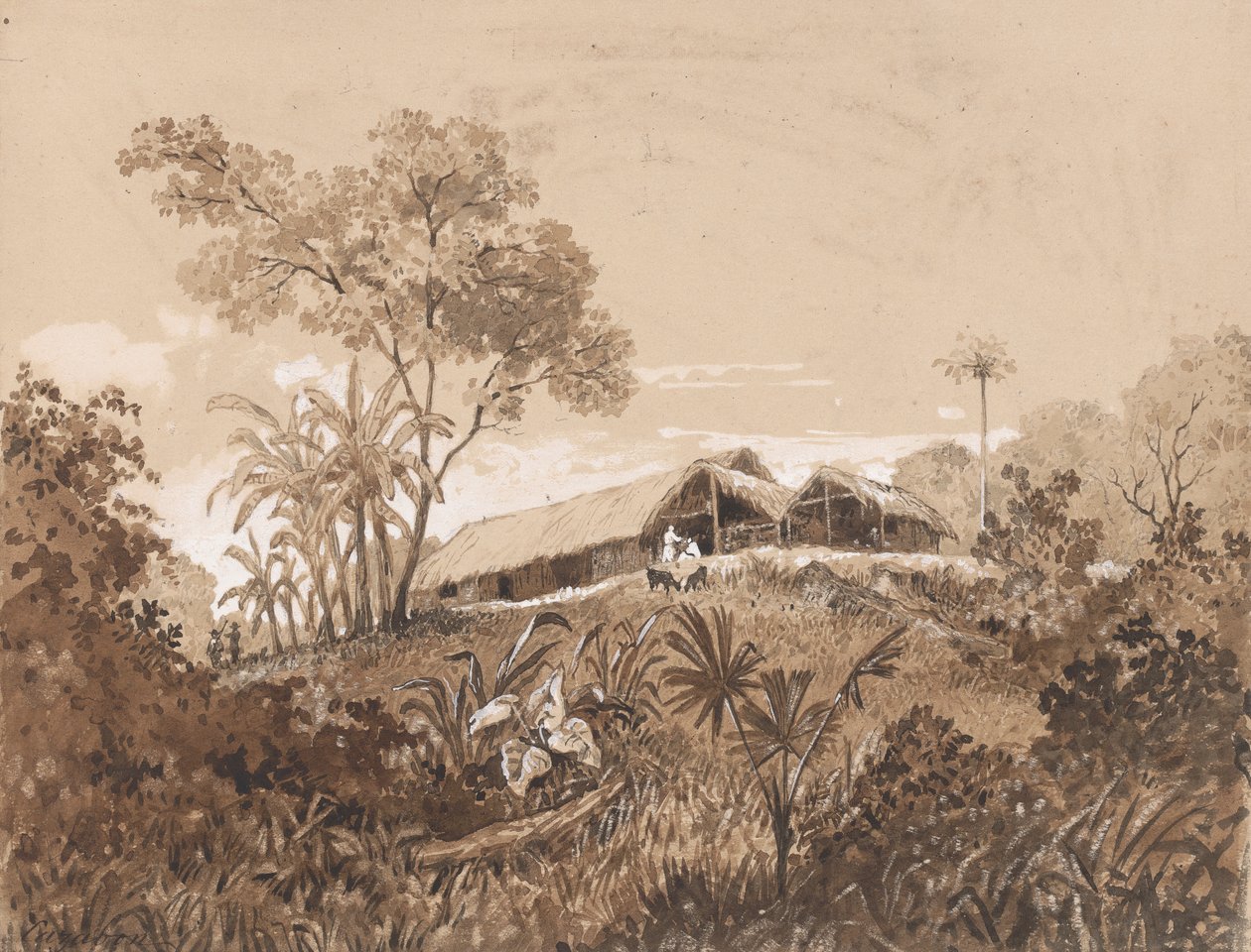 De Cottage, Mount Tamana door Michel Jean Cazabon