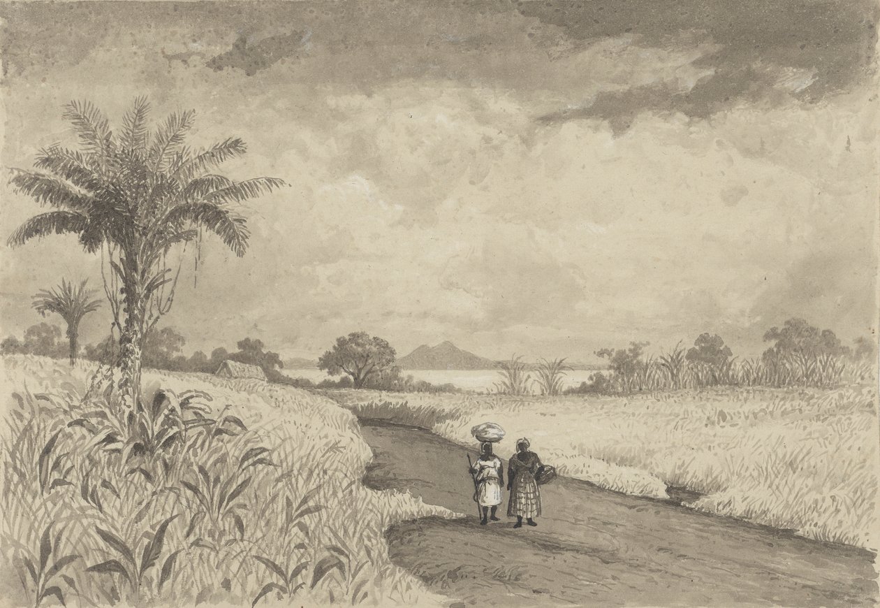 De Weg naar het Pekmeer door Michel Jean Cazabon