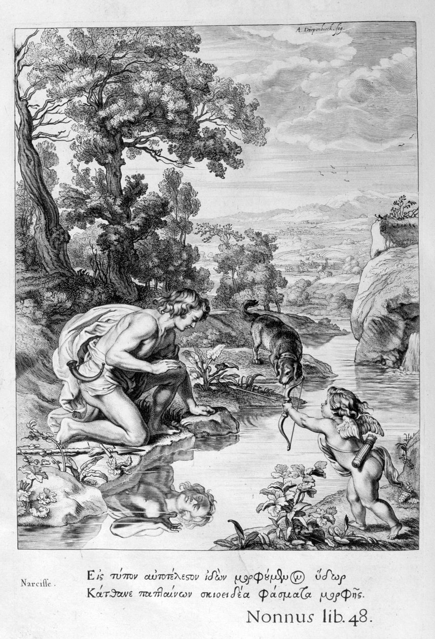 Narcissus verliefd op zijn eigen reflectie, 1655 door Michel de Marolles
