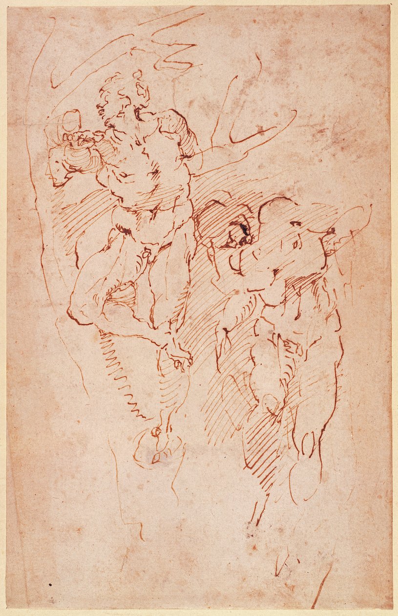 Studies van mannelijke naakten door Michelangelo Buonarroti