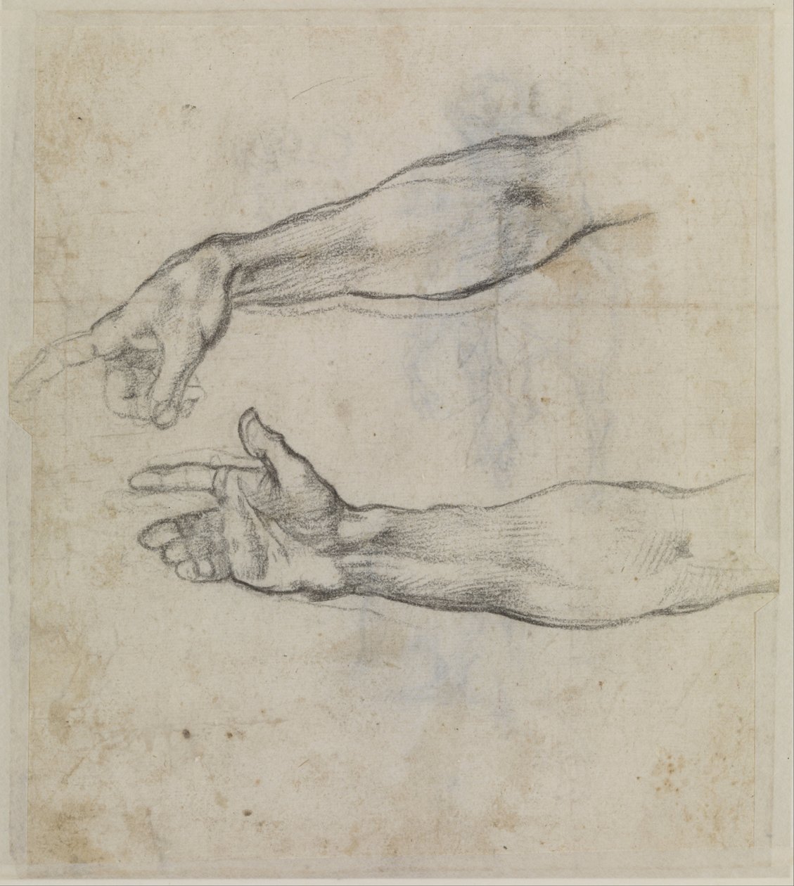 Studies van een uitgestrekte arm voor de fresco De dronkenschap van Noach in de Sixtijnse Kapel door Michelangelo Buonarroti