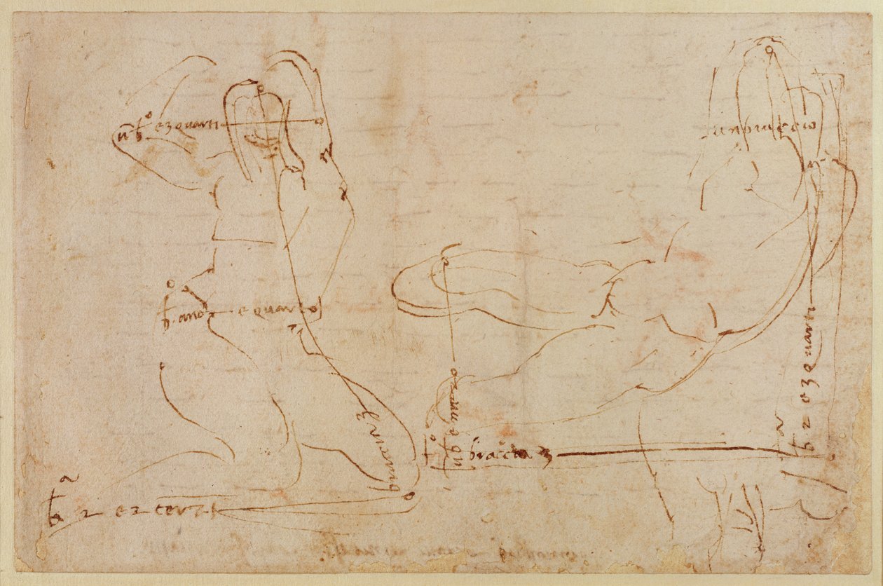 Studie voor riviergod door Michelangelo Buonarroti