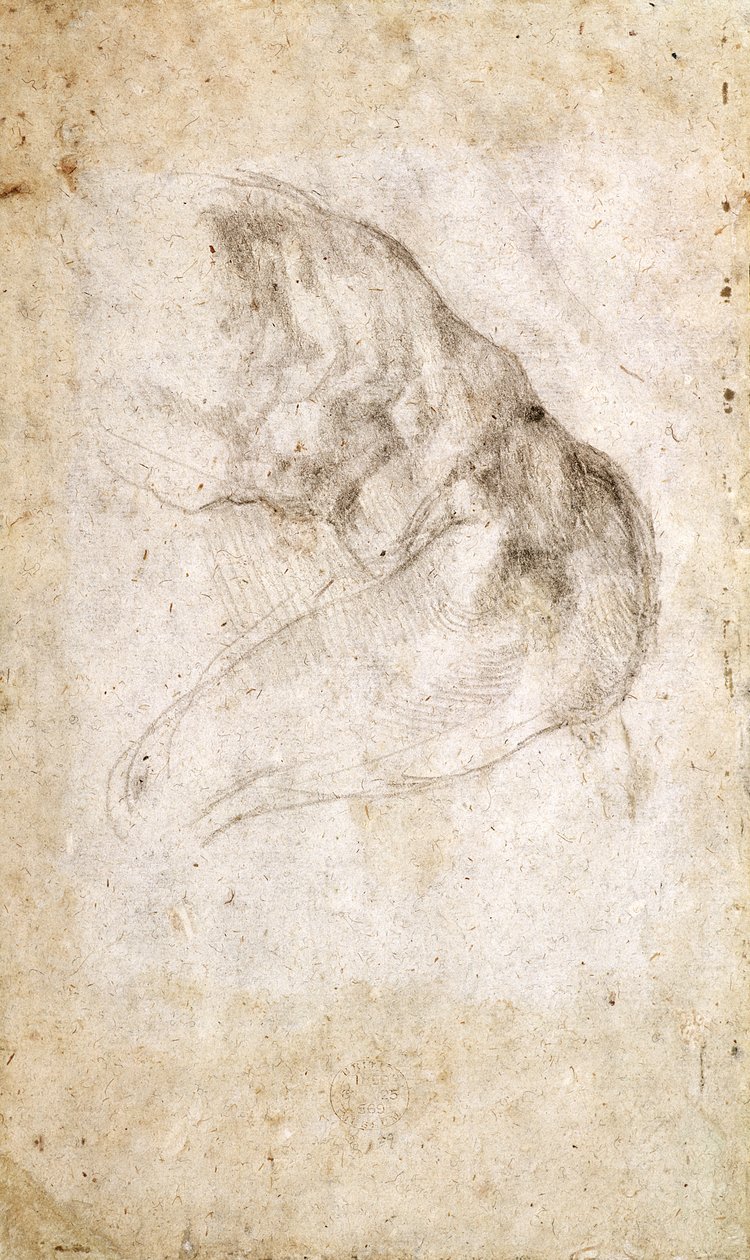 Studie voor De Schepping van Adam (verso) door Michelangelo Buonarroti