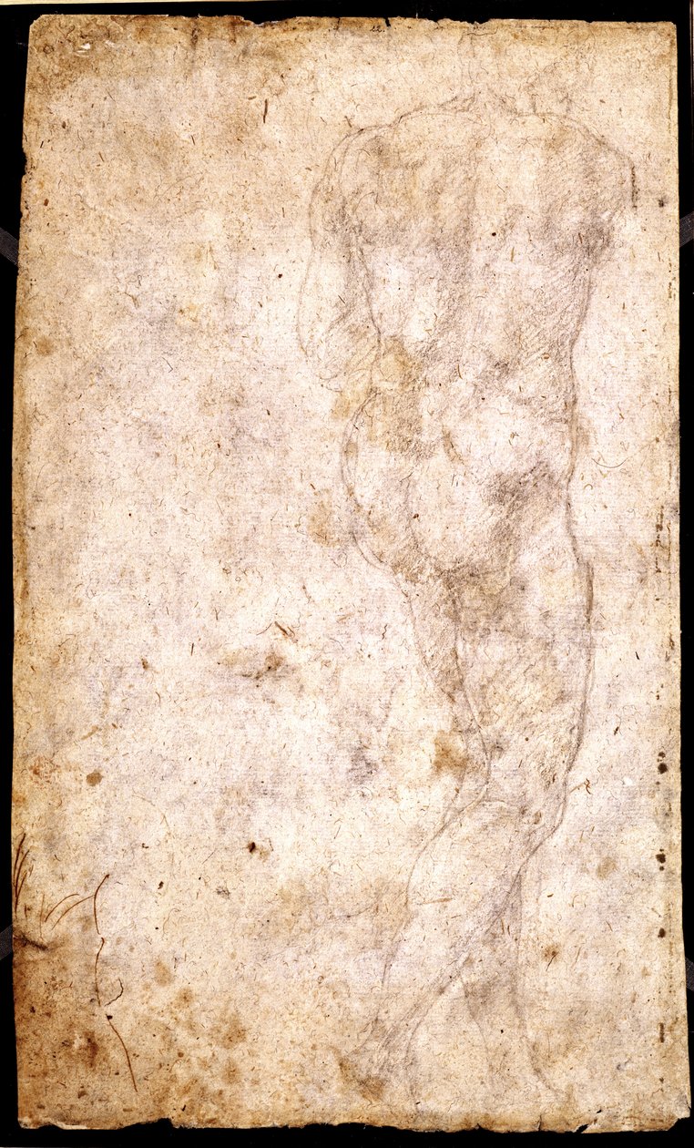 Studie van een Mannelijk Naakt door Michelangelo Buonarroti