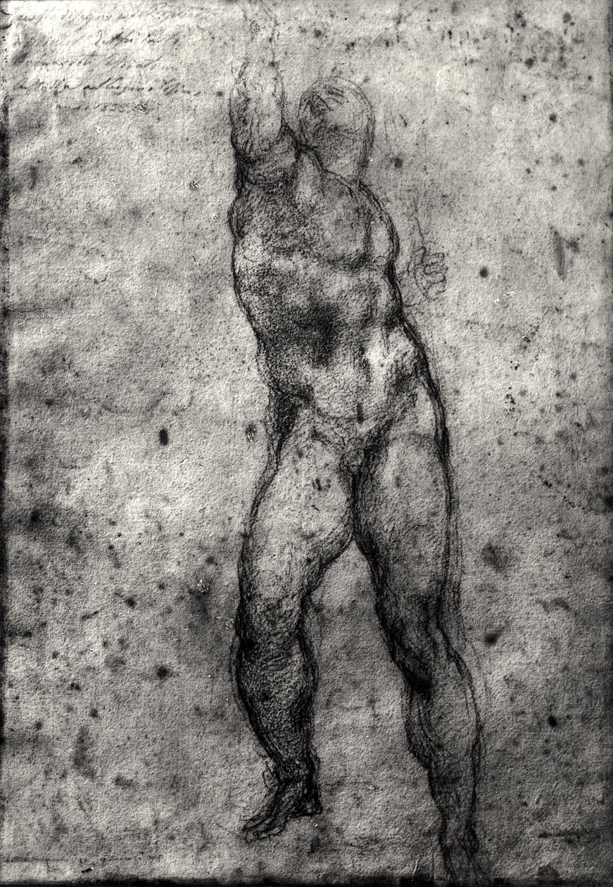 Studie van een mannelijk naakt door Michelangelo Buonarroti