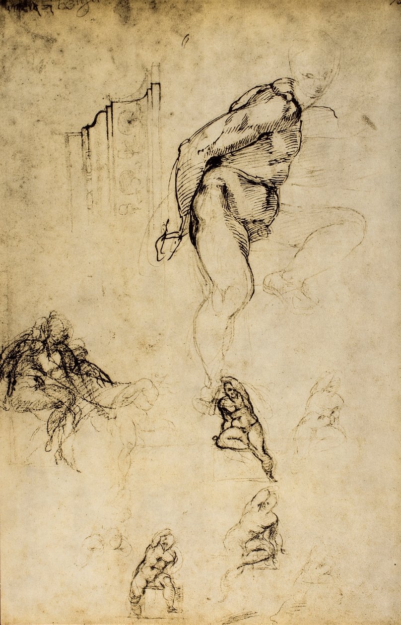 Studie van mannelijke vormen, tekening door Michelangelo door Michelangelo Buonarroti