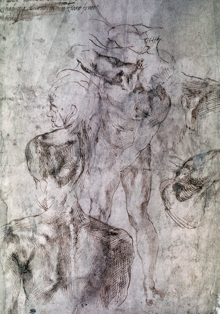 Verschillende studies, verso van Studie voor David door Michelangelo Buonarroti