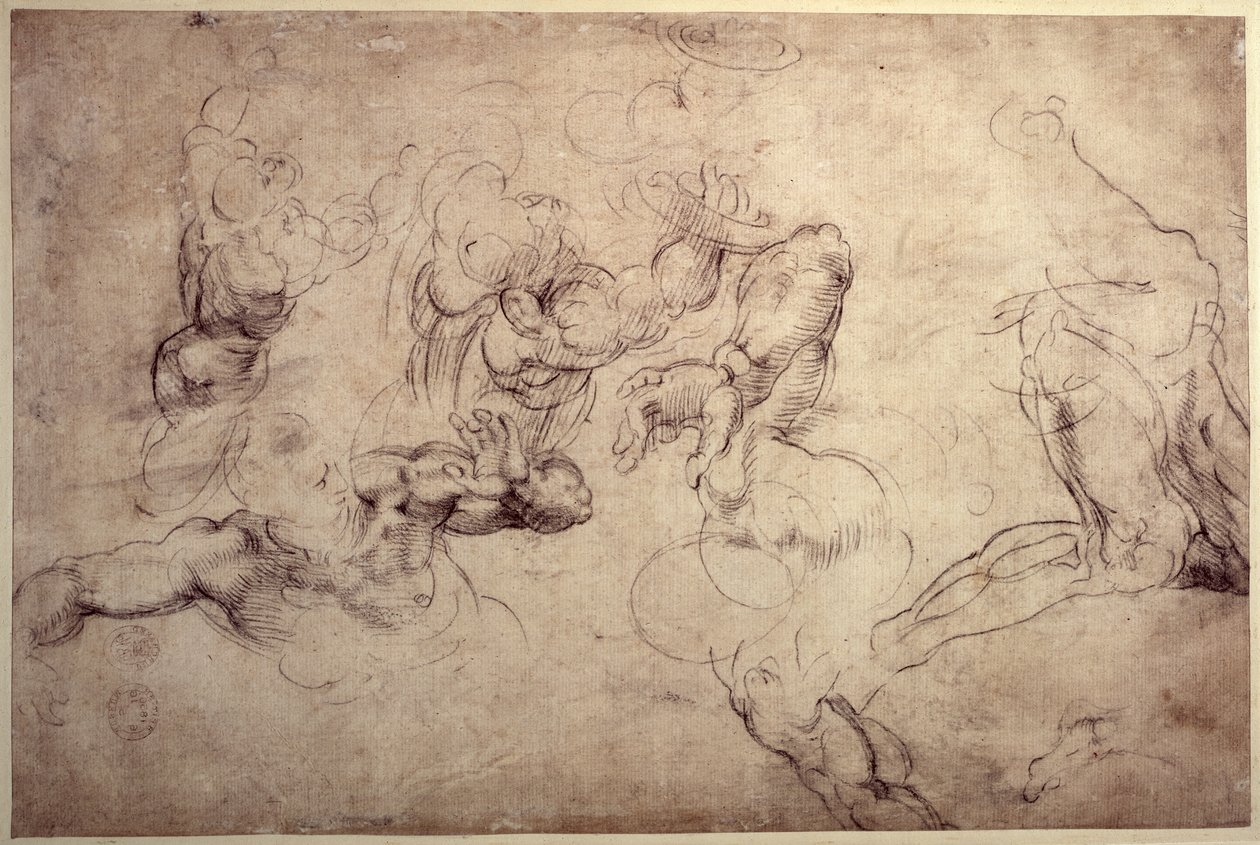 W.61v Mannelijke figuurstudies door Michelangelo Buonarroti