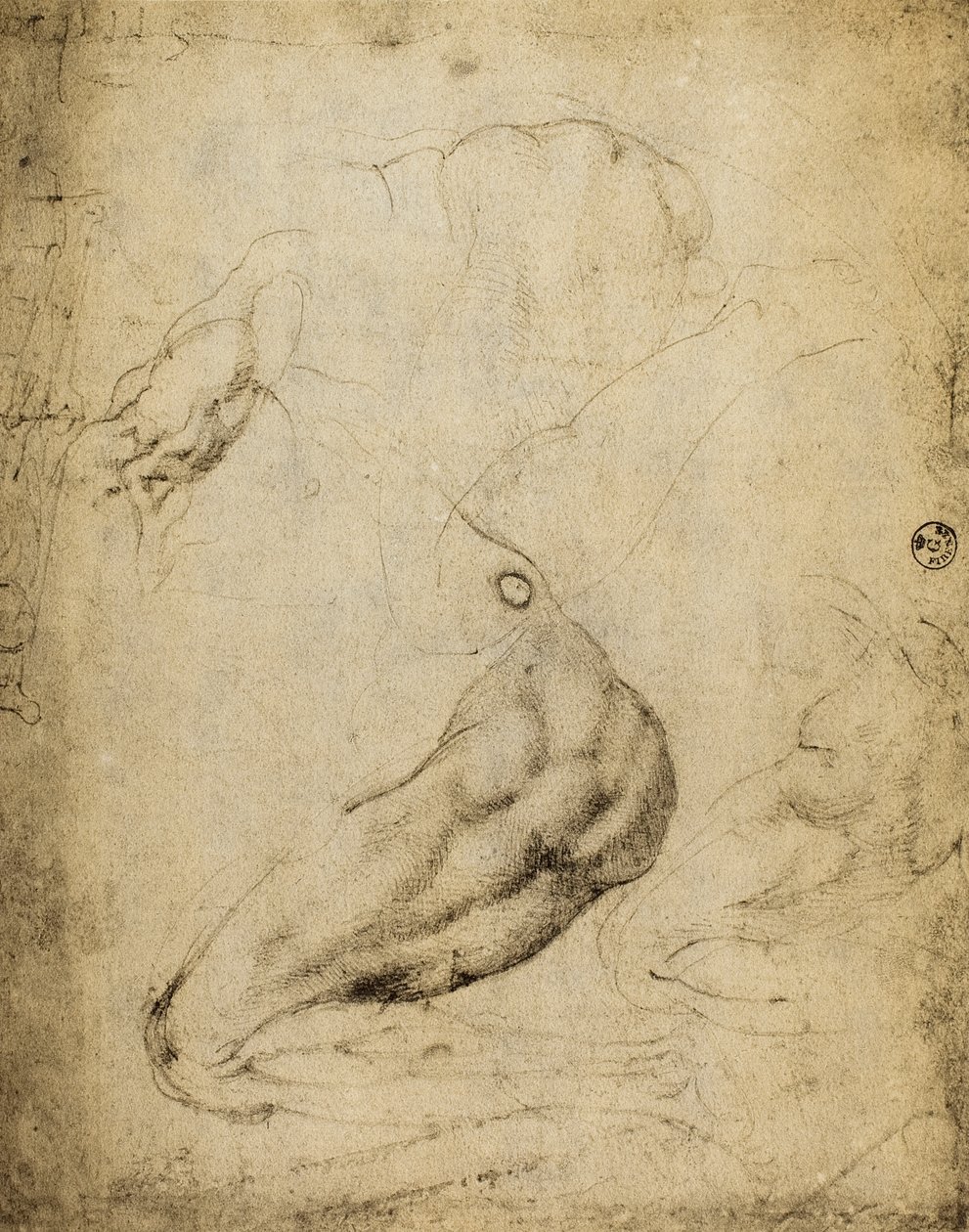 Anatomische studie door Michelangelo Buonarroti