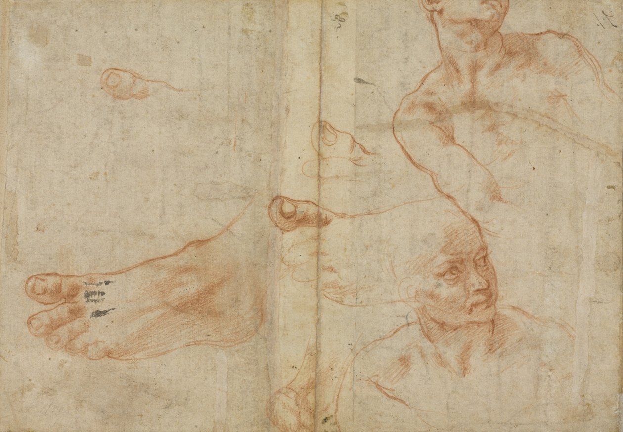 Figurenstudies voor het plafond van de Sixtijnse Kapel door Michelangelo Buonarroti