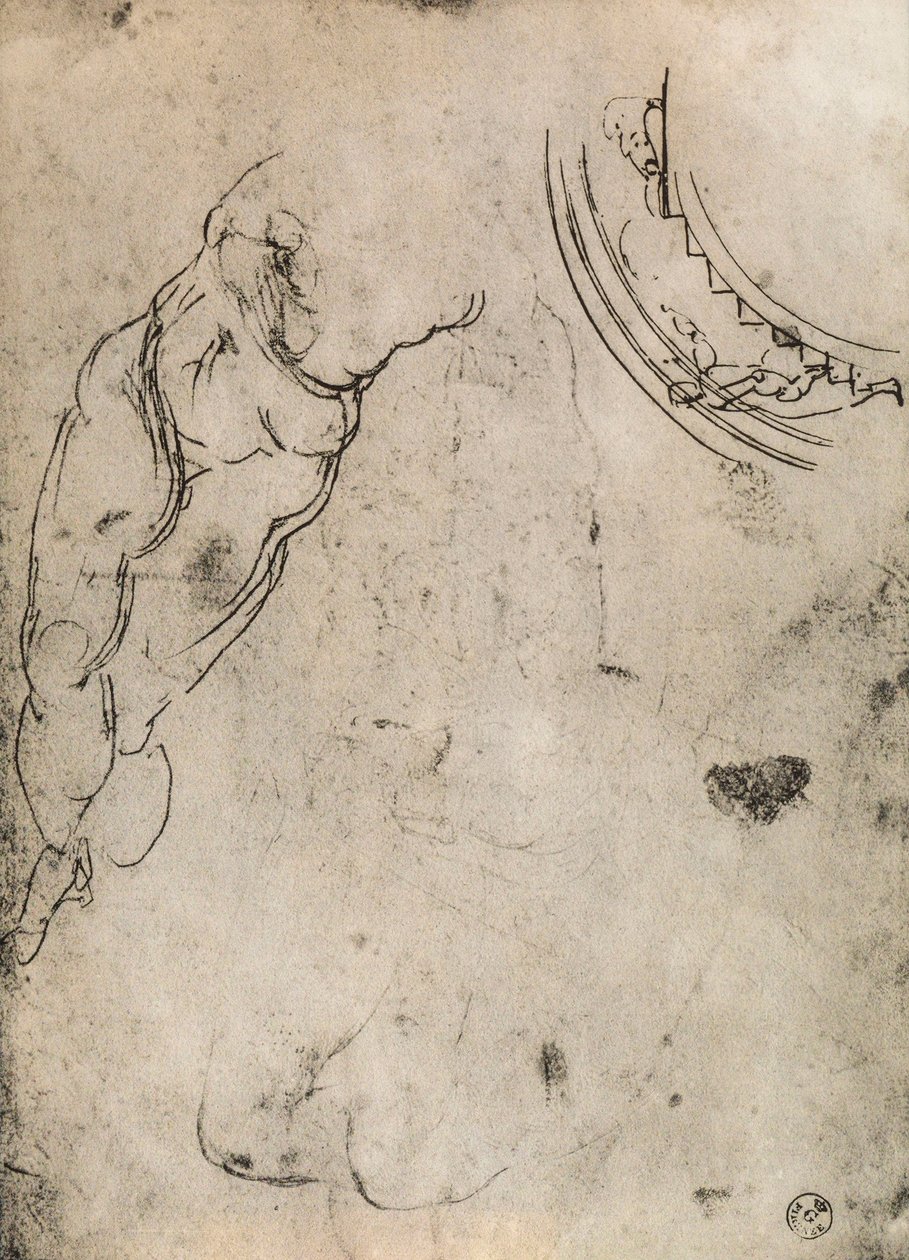 Mannelijke benen door Michelangelo Buonarroti