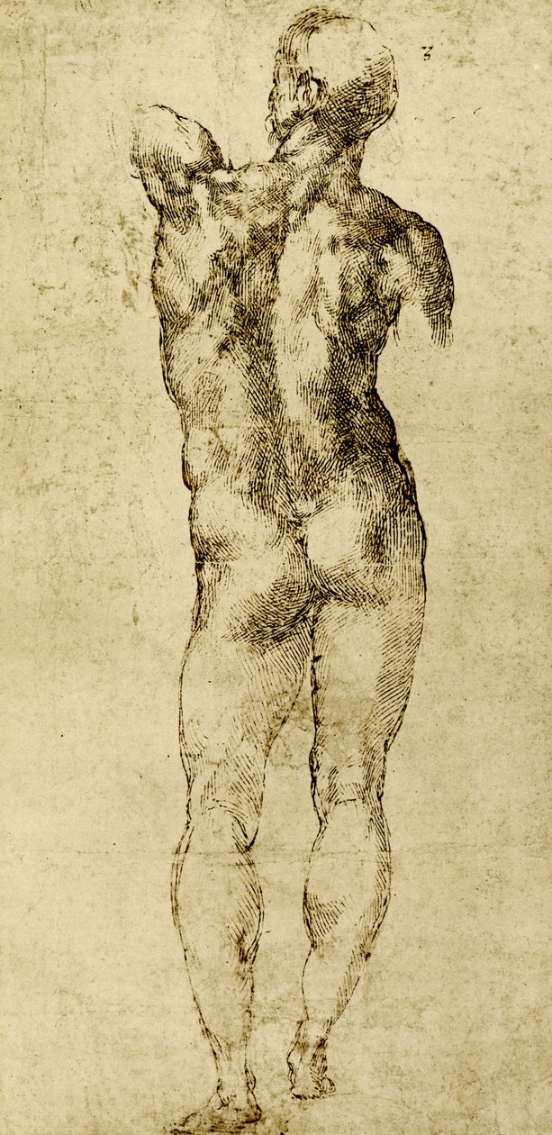 Mannelijk naakt door Michelangelo Buonarroti