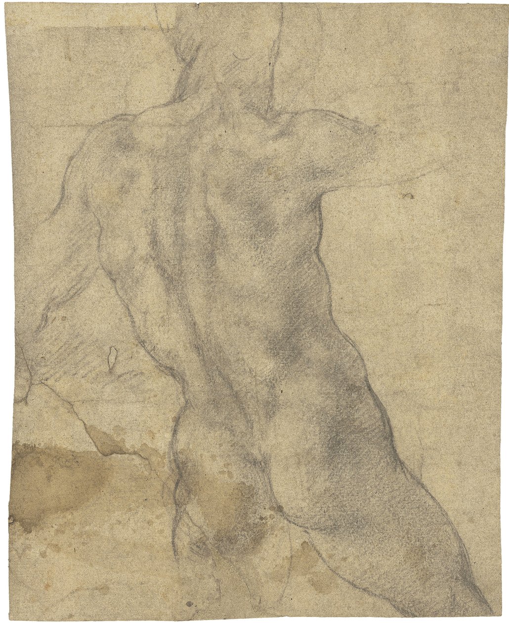 Mannelijk naakt door Michelangelo Buonarroti