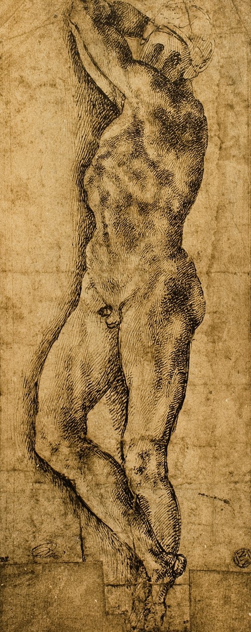 Mannelijk naakt; tekening door Michelangelo door Michelangelo Buonarroti