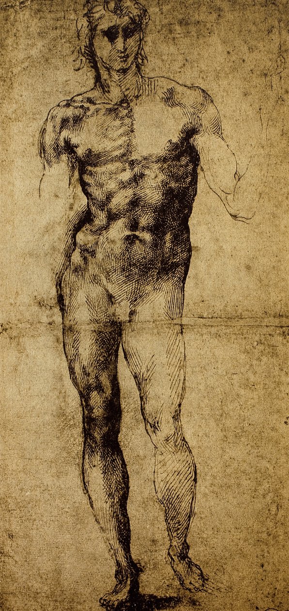Studie voor een mannelijk naakt, Louvre Museum, Parijs door Michelangelo Buonarroti