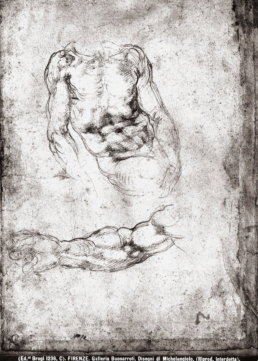 Studie van een mannelijk torso en arm door Michelangelo Buonarroti