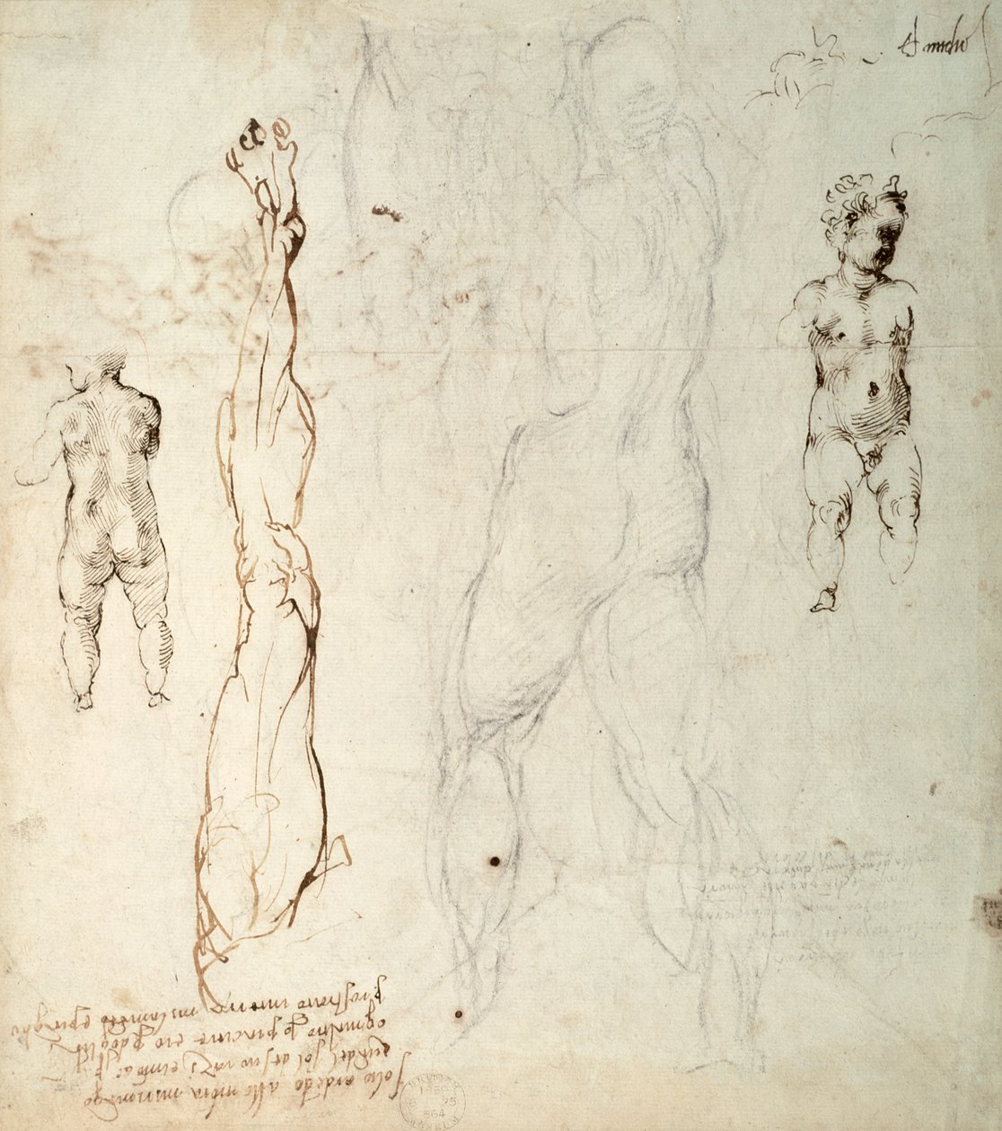 Studie van het Christuskind en een anatomische tekening met aantekeningen (zwarte krijt en bruine inkt op papier) (verso) door Michelangelo Buonarroti