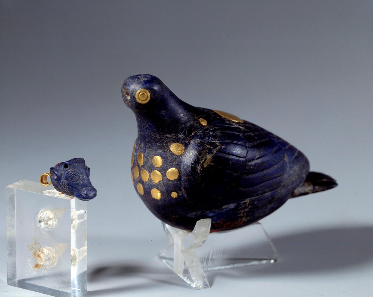 Oosterse oudheid: duif in lapis lazuli en goud door Middle Elamite Period