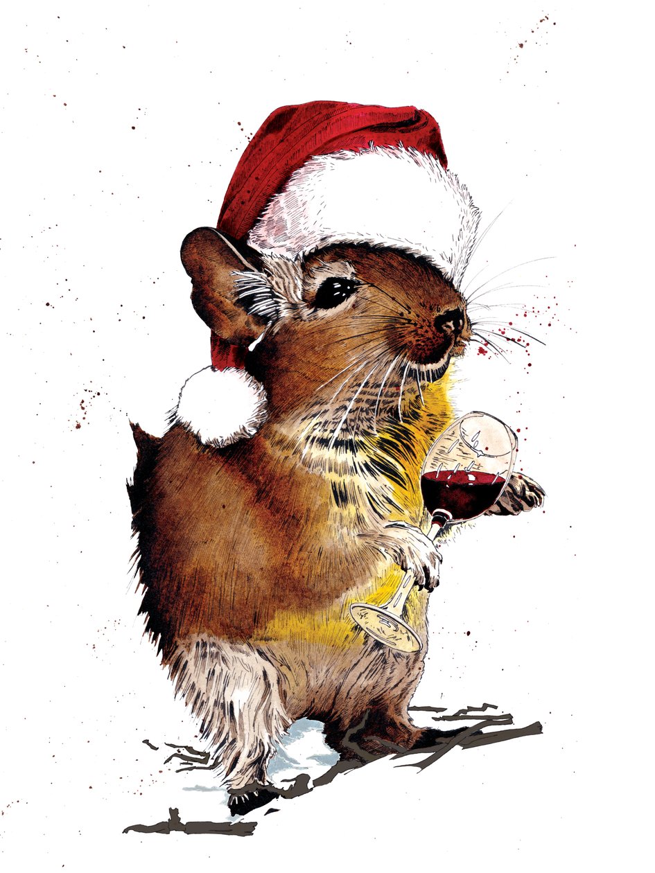 Kerst Degu op Wit, 2020 door Mike Davis