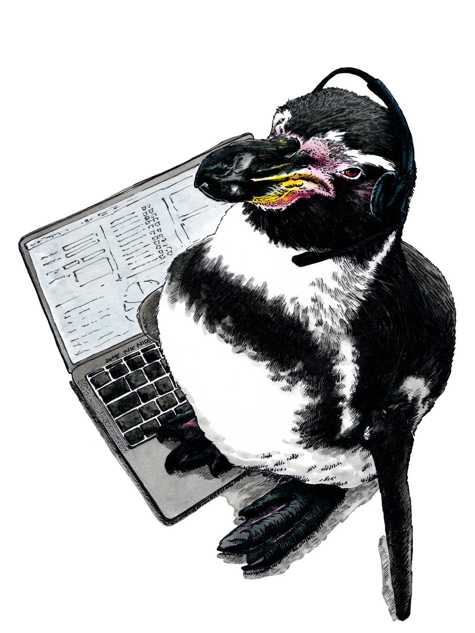 Nieuwe Baan Pinguïn op Wit, 2020 door Mike Davis