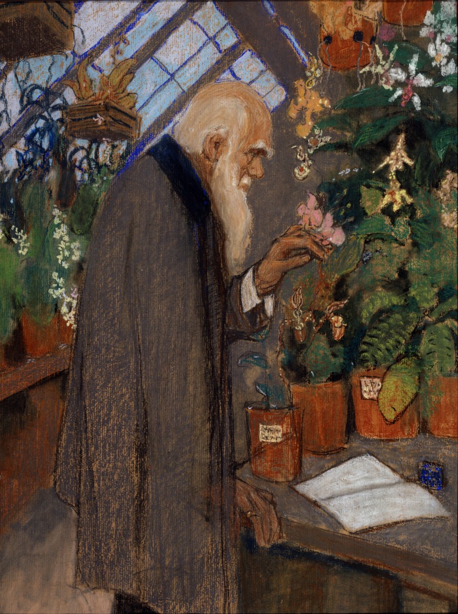 Portret van wetenschapper Charles Robert Darwin (1809-1882) die planten onderzoekt in de kas van Langdon-Down door Mikhail Dmitrievich Ezuchevsky