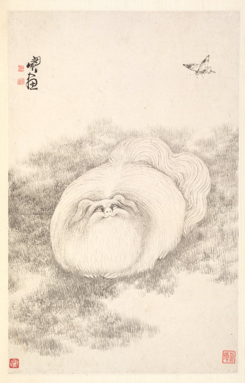 Kat en Vlinder, 1788 door Min Zhen