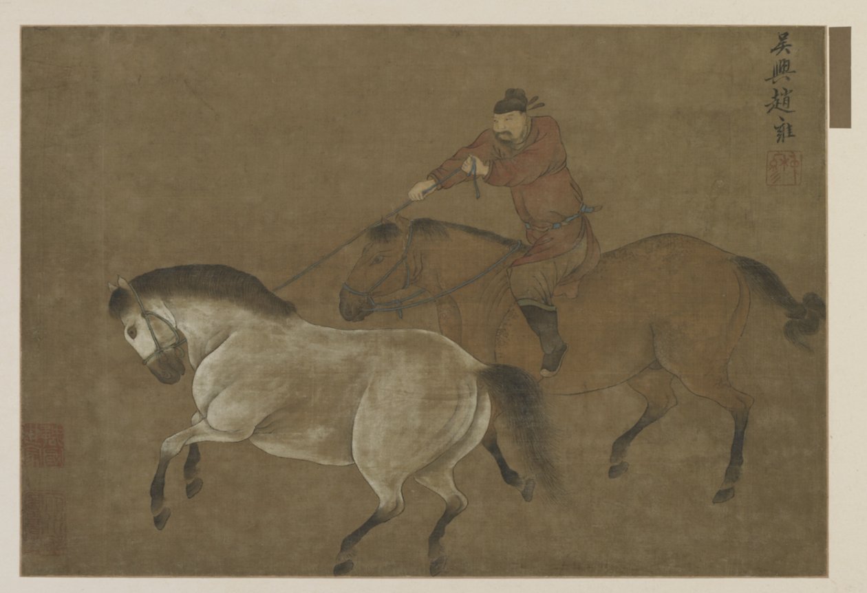 Een ruiter die een paard lasso