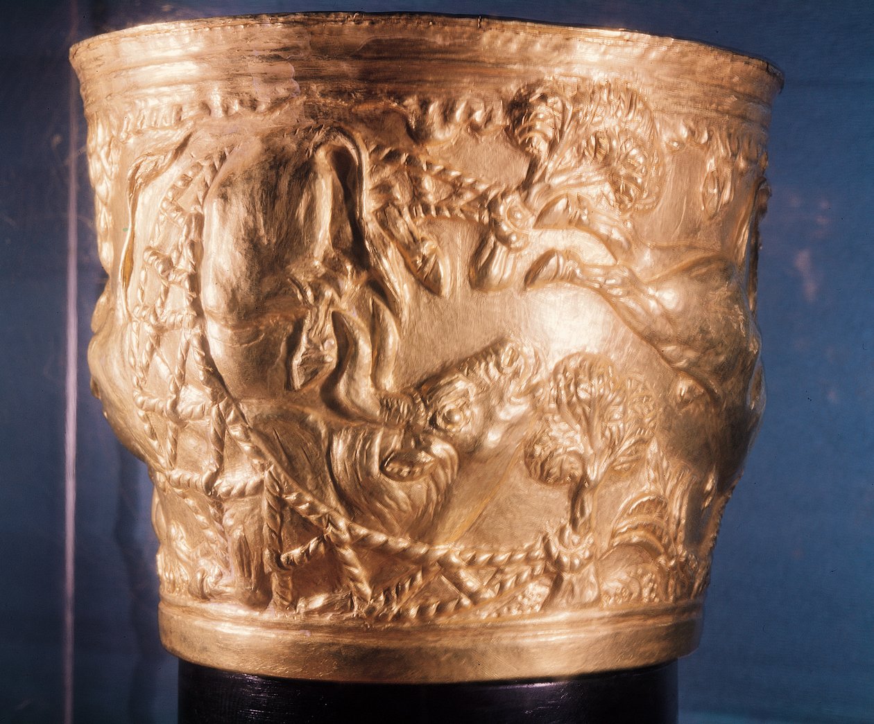 Beker, die de vangst van een wilde stier uitbeeldt, gevonden in het koninklijke graf van Vaphio, Sparta, laat Minoïsch I, c.1500 v.Chr. door Minoan