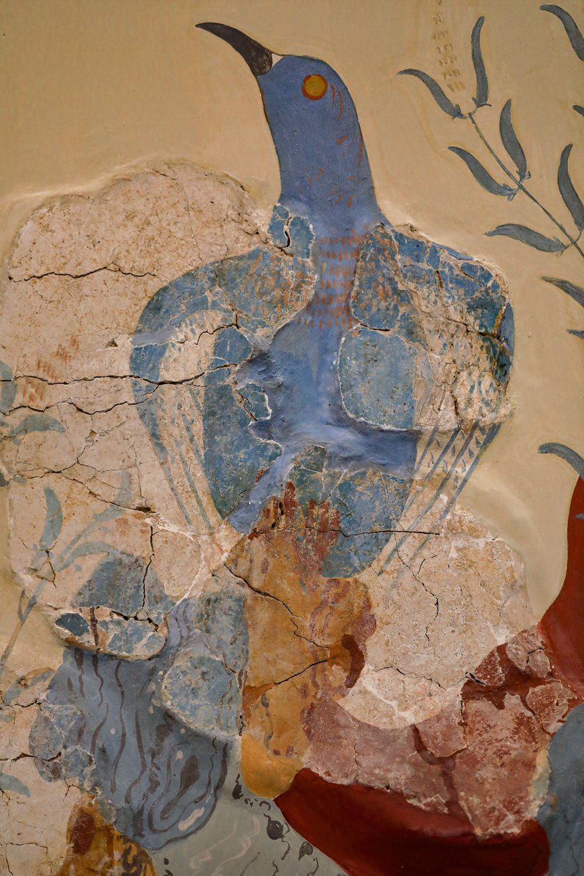 Blauwe vogel Fresco of De blauwe vogel van Kreta. Knossos door Minoan
