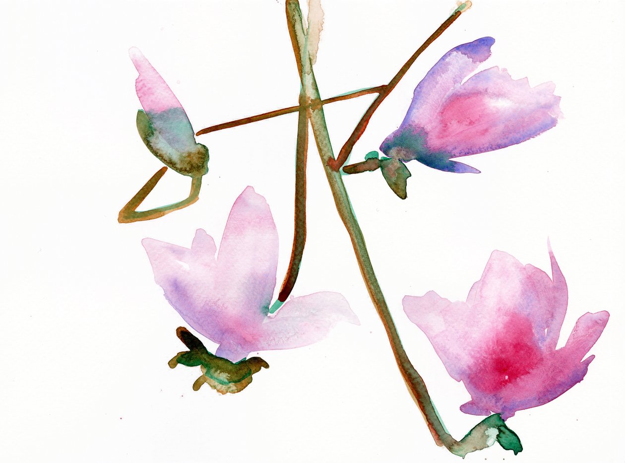 Magnolia 1 door Monica Perez Vega