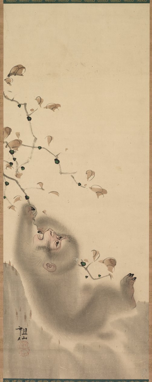Aap die aan een tak hangt, 1780 door Mori Sosen
