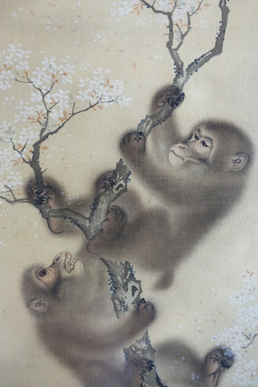Apen in een bloeiende kersenboom, 1 van 2, Mori Sosen, Japan, Edo-periode, begin 1800, inkt en kleur op zijde - Arthur M. Sackler Museum, Harvard University - DSC01127 door Mori Sosen