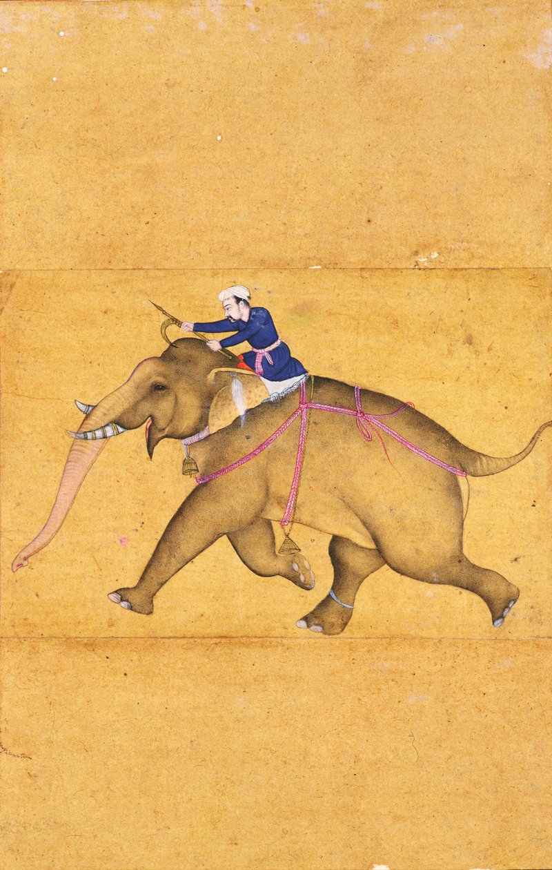 Een Mahout die een Olifant berijdt, uit het Grote Clive Album door Mughal School