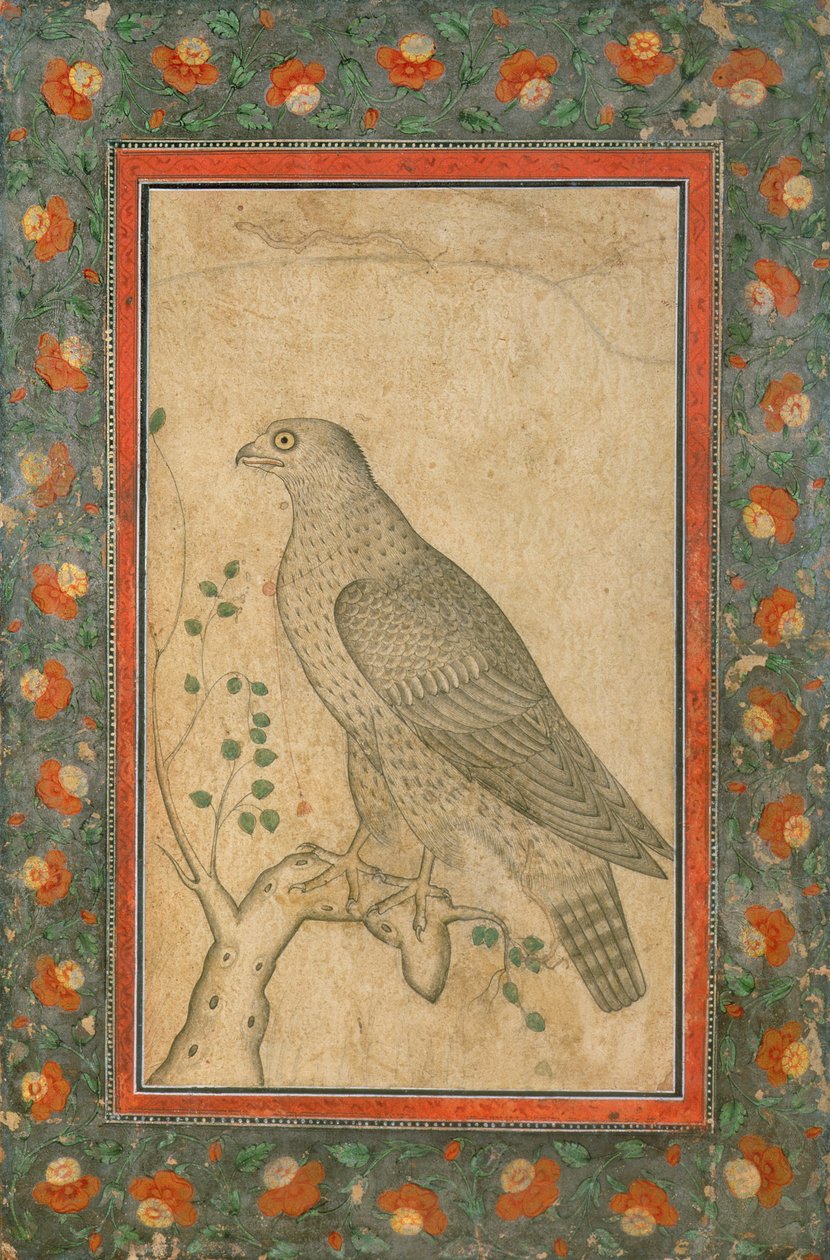 Valk op een bladerrijke stronk, ca. 1650 door Mughal School
