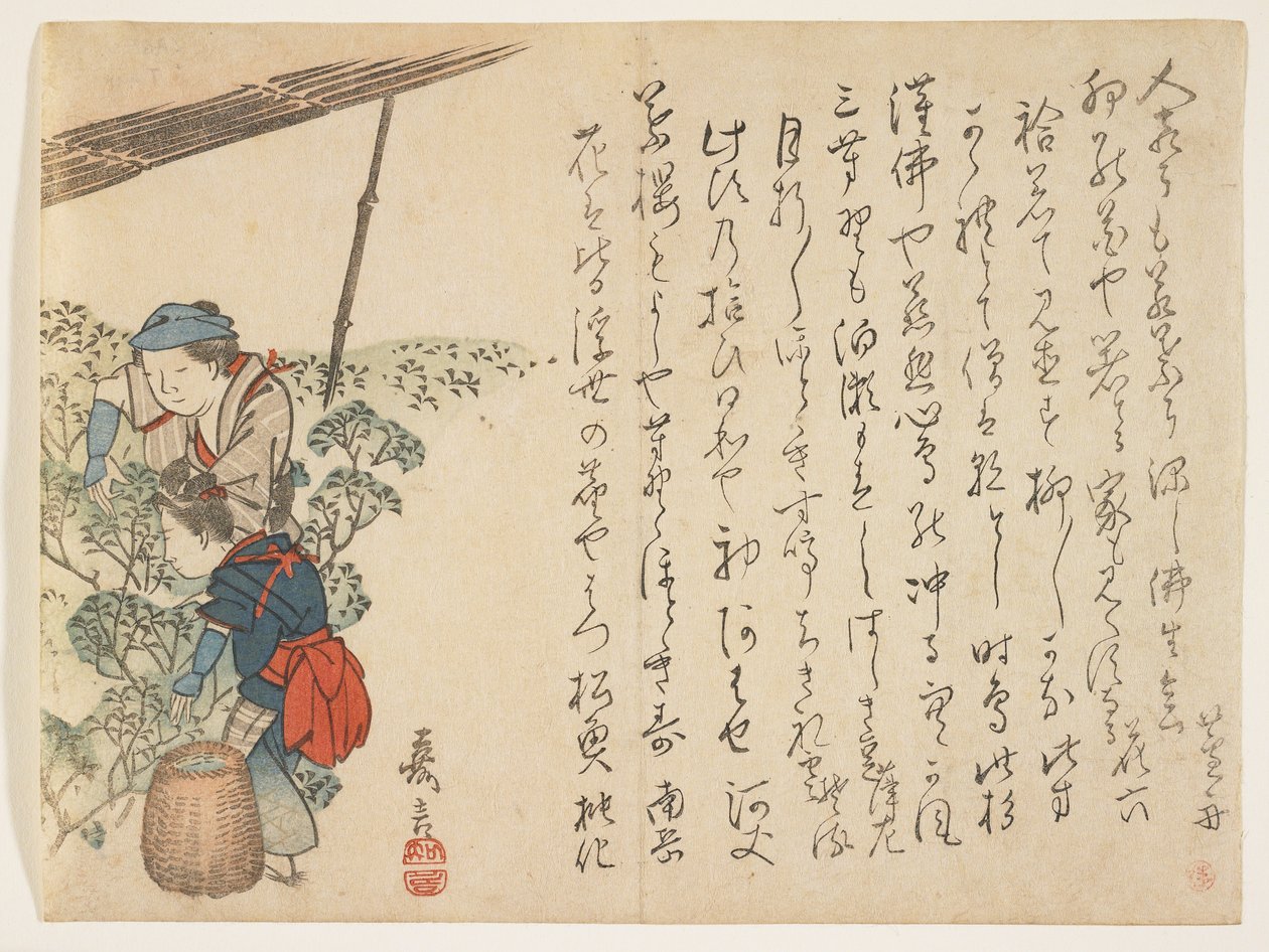 Theeplukkers, ca. 1830-44 door Murata Kagen