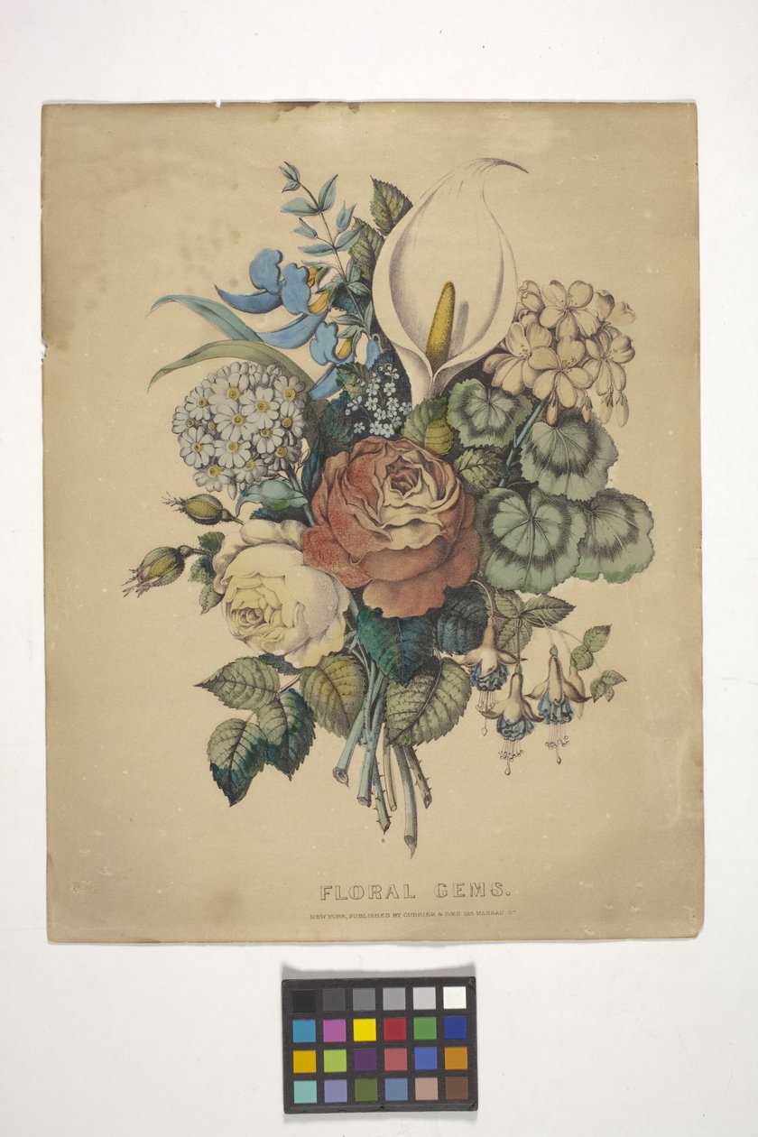 Bloemjuwelen door N. and Ives J.M. (1824 95) Currier