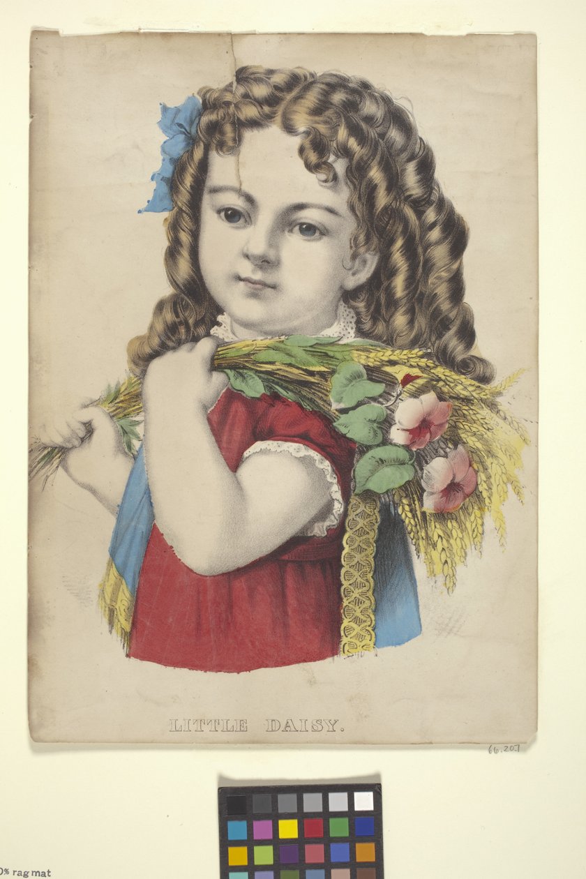 Kleine Daisy door N. and Ives J.M. (1824 95) Currier