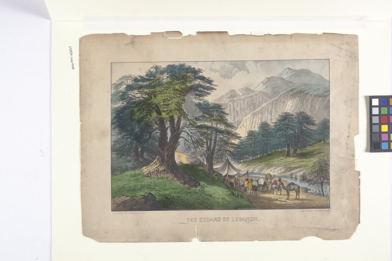 De ceders van Libanon door N. and Ives J.M. (1824-95) Currier