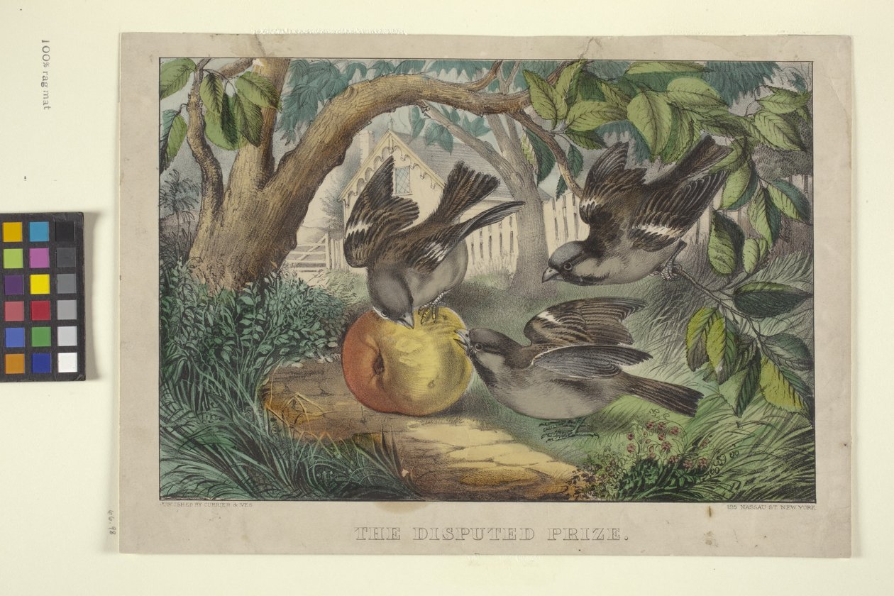 De betwiste prijs door N. and Ives J.M. (1824 95) Currier