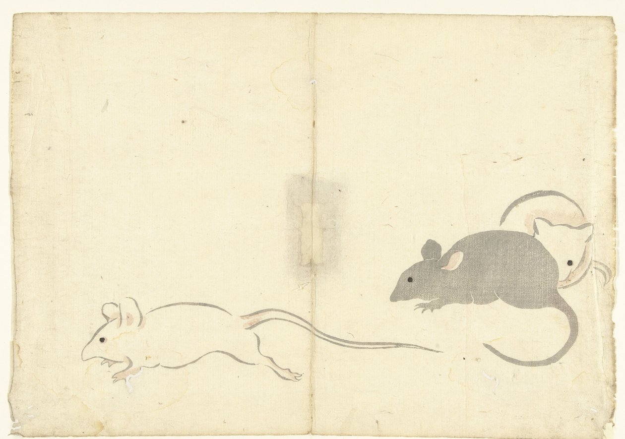 Drie ratten door Nakamura Hochu