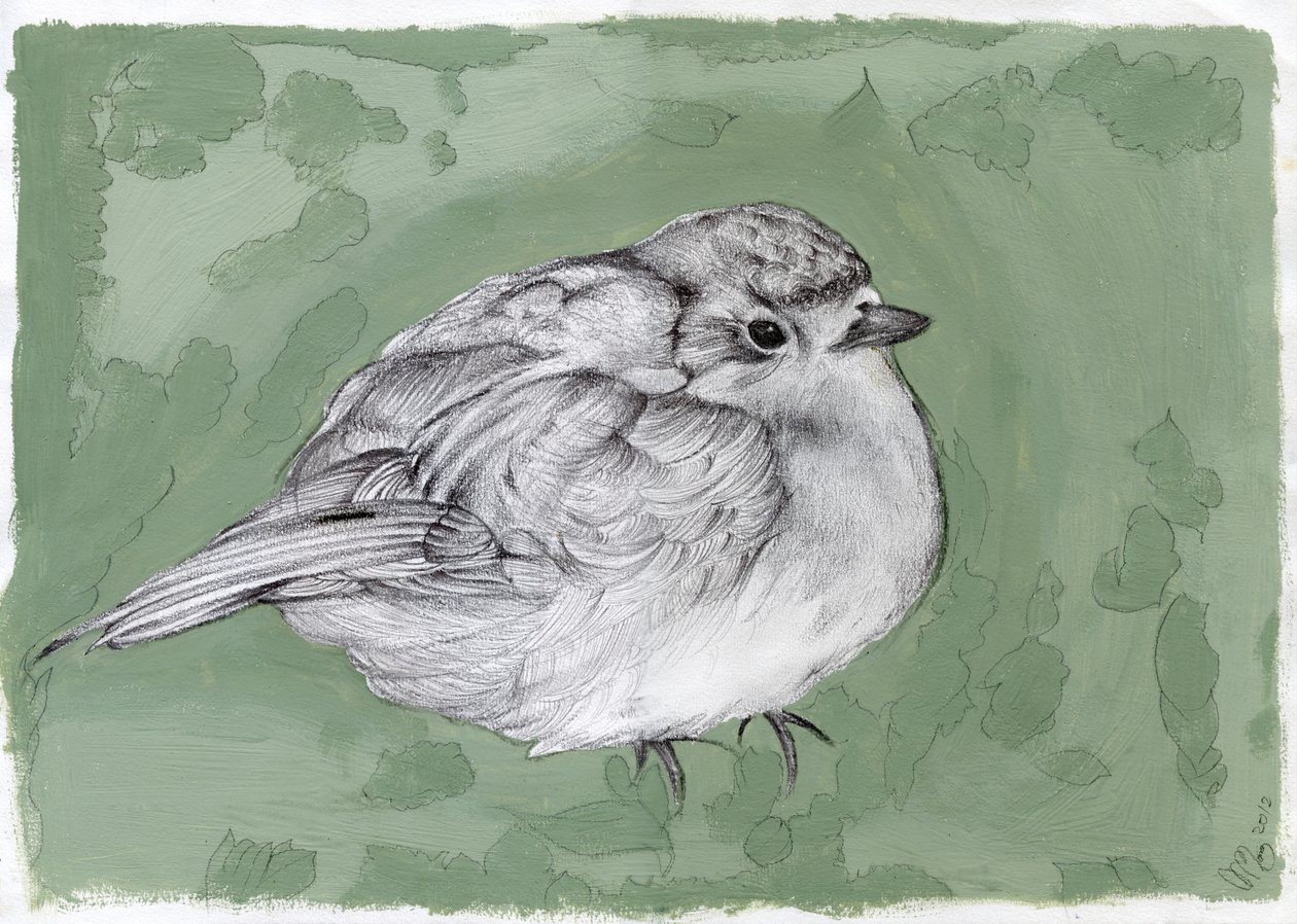 Dikke kleine roodborst, 2012 door Nancy Moniz Charalambous