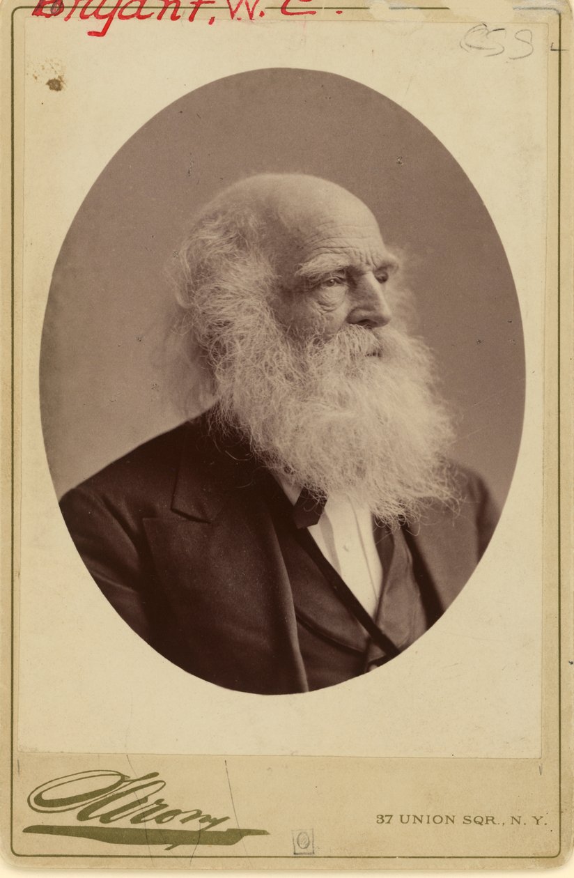 William Cullen Bryant door Napoleon Sarony