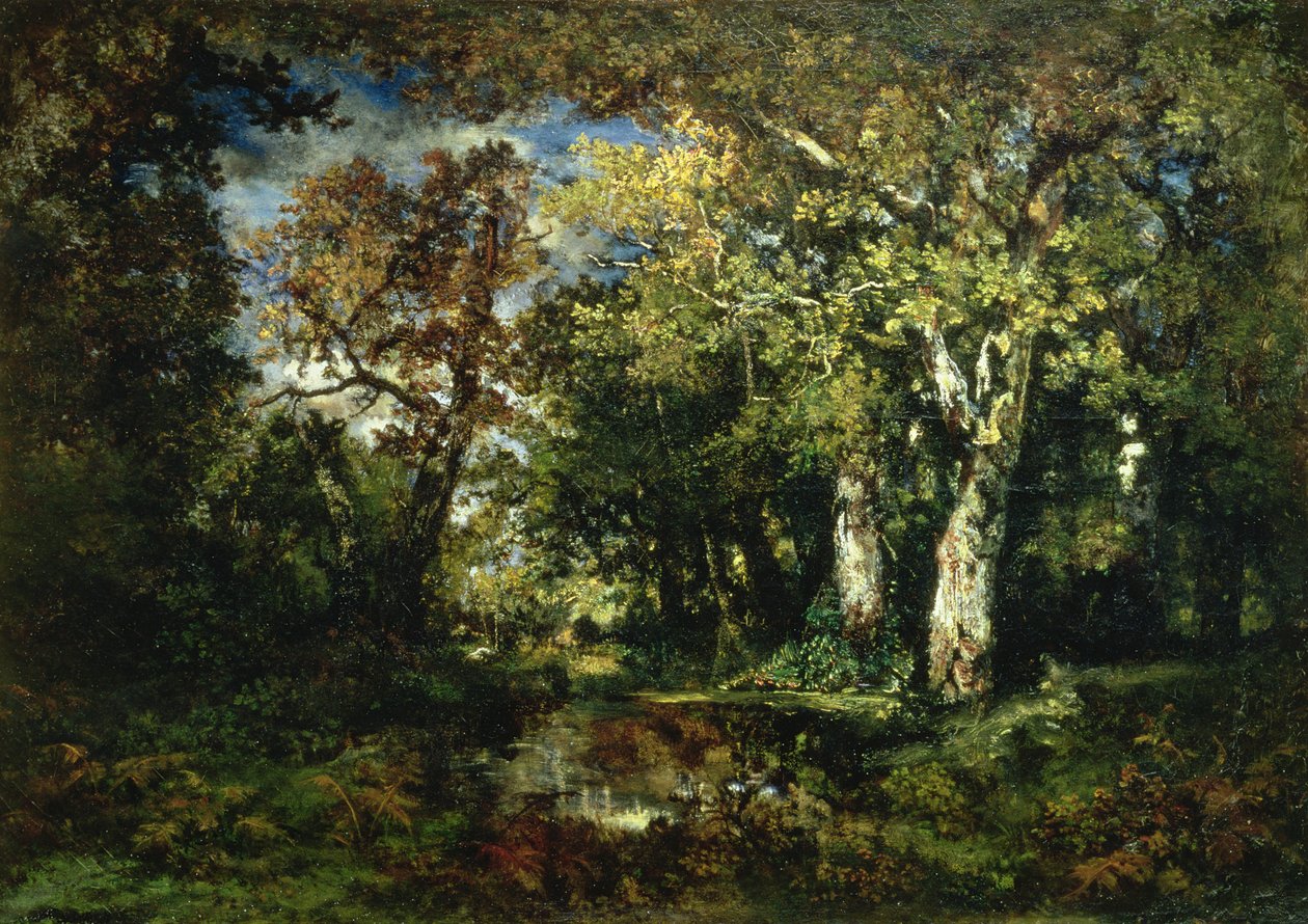 Het Bos bij Fontainebleau door Narcisse Virgile Diaz de la Peña